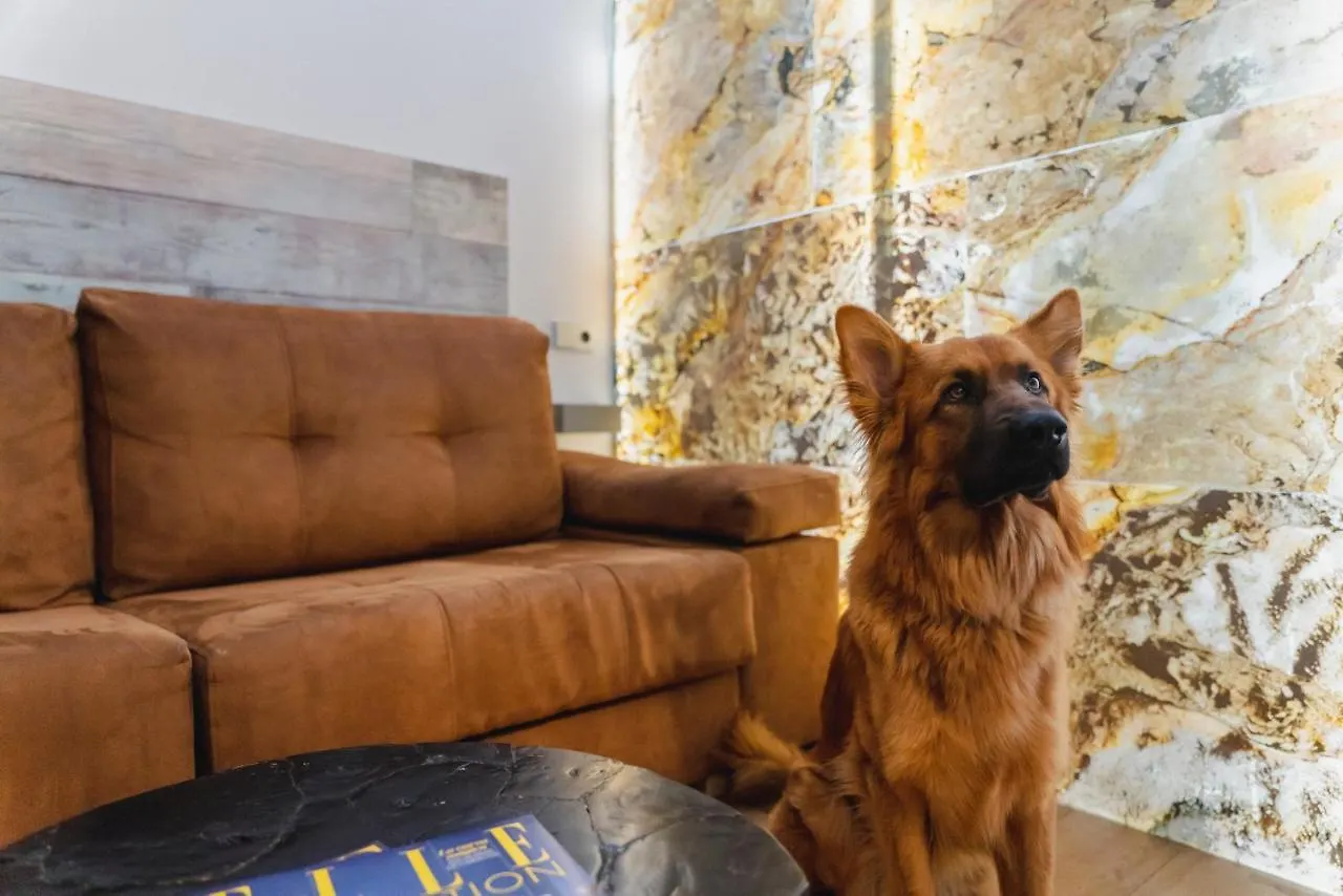 ** Guest house Cosmopolitan Boutique Rambla Hotel Barcelona Spain